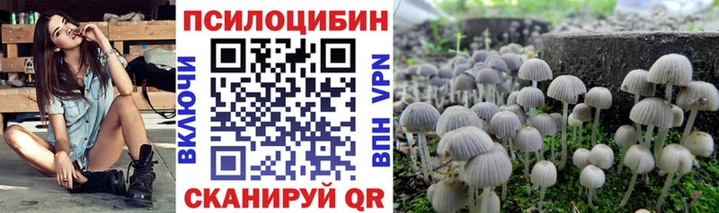 Купить  Балтийск  Псилоцибиновые грибы прущие грибы 